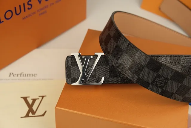 Louis Vuitton Black Gray Damier Graphite Checkered Canvas Polished Silver-Tone LV Buckle Leather Belt 4