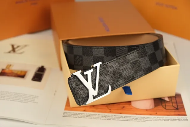Louis Vuitton Black Gray Damier Graphite Checkered Canvas Polished Silver-Tone LV Buckle Leather Belt 5