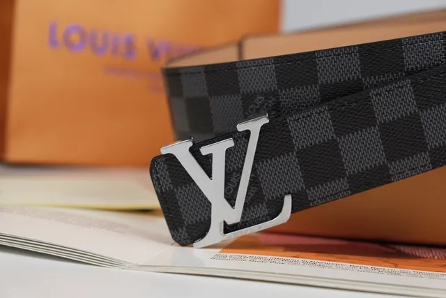 Louis Vuitton Black Gray Damier Graphite Checkered Canvas Polished Silver-Tone LV Buckle Leather Belt 6