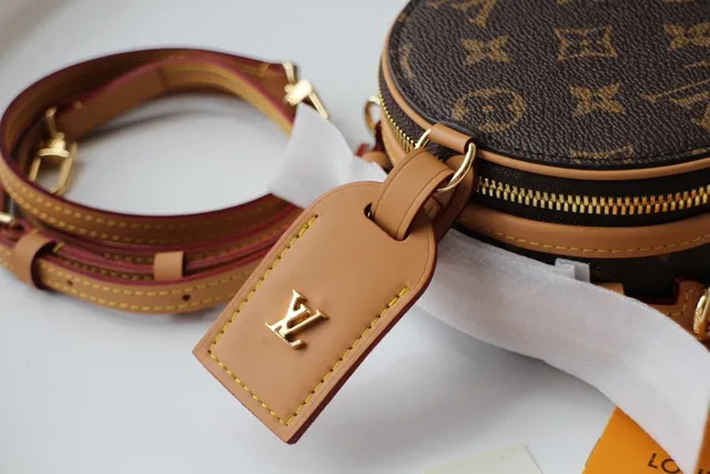 Louis Vuitton बादामी बेज सर्कुलर मिनी सिल्हूट मोनोग्राम कैनवास सैडल बैग 2