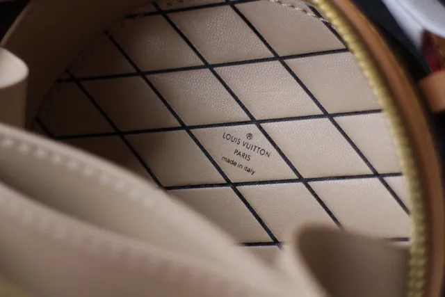 Louis Vuitton बादामी बेज सर्कुलर मिनी सिल्हूट मोनोग्राम कैनवास सैडल बैग 3