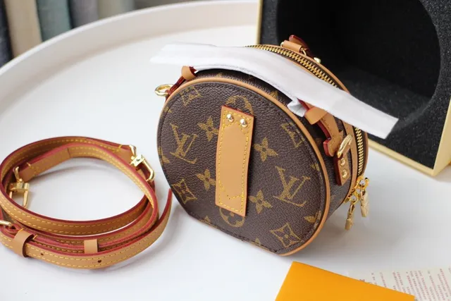 Louis Vuitton बादामी बेज सर्कुलर मिनी सिल्हूट मोनोग्राम कैनवास सैडल बैग 4