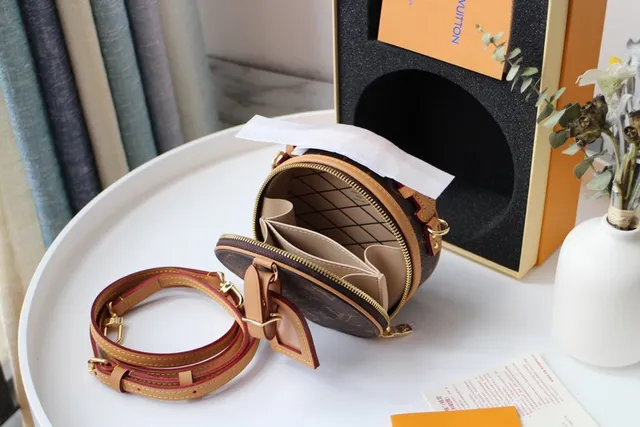 Louis Vuitton बादामी बेज सर्कुलर मिनी सिल्हूट मोनोग्राम कैनवास सैडल बैग 5
