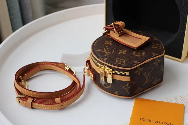 Louis Vuitton बादामी बेज सर्कुलर मिनी सिल्हूट मोनोग्राम कैनवास सैडल बैग 9