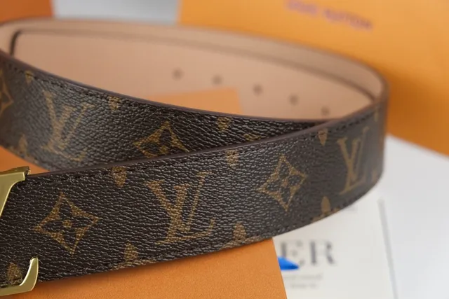 Louis Vuitton Brown Gold Monogram-Coated Canvas Interlocking LV Buckle Leather Belt 6