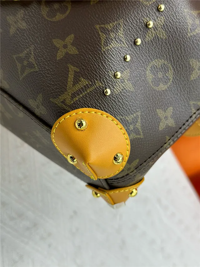 Louis Vuitton Monogram Canvas Drawstring Bucket Bag 4