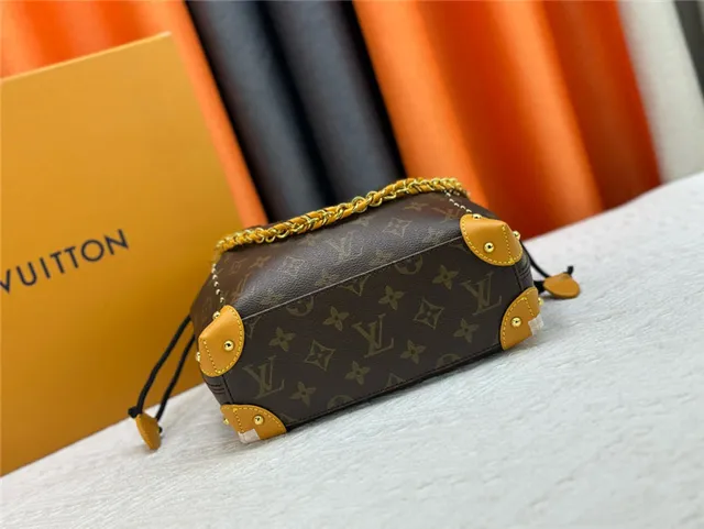 Louis Vuitton Monogram Canvas Drawstring Bucket Bag 6