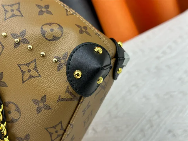 Louis Vuitton Monogram Canvas Drawstring Bucket Bag 13