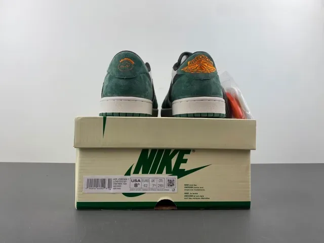 Sneakers Lifestyle Nike Air Jordan 1 Vert Forêt Suédé 18