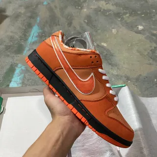 Nike SB Dunk Low 橙色 黑色 白色 滑板鞋