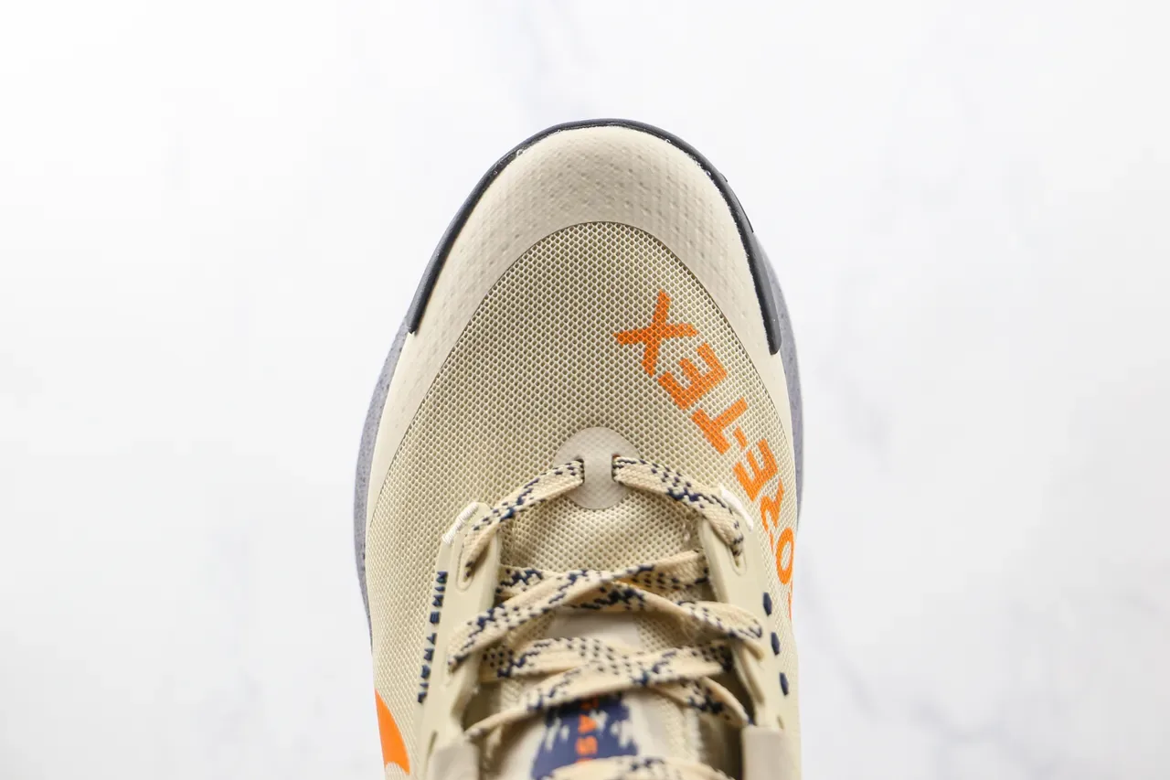 Chaussures de running Nike Trail GORE-TEX Beige Orange Gris 6