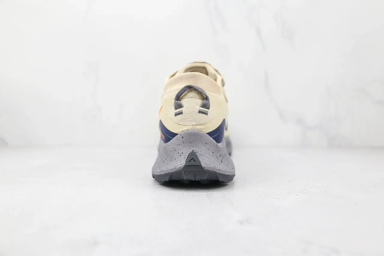 Chaussures de running Nike Trail GORE-TEX Beige Orange Gris 9