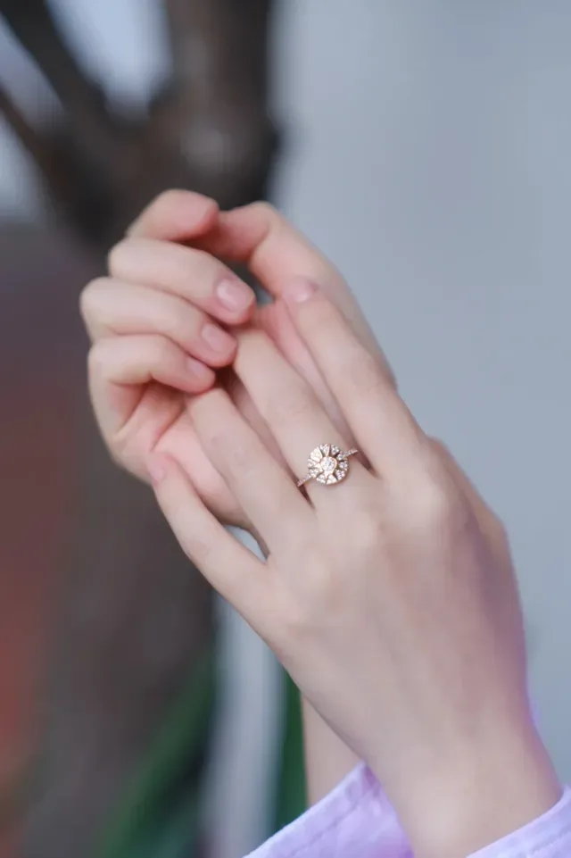 Tiffany & Co. Anel Floral Pavé Diamantes em dourado 3