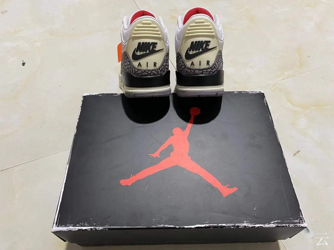 Air Jordan 3 White Elephant Print Basketball Shoes 10