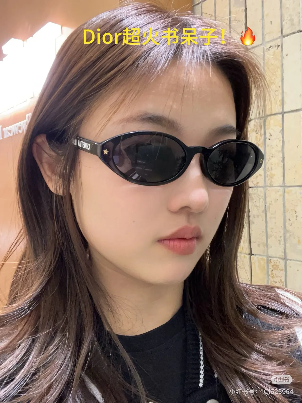 Dior B27 Narrow Oval Black Sunglasses 4