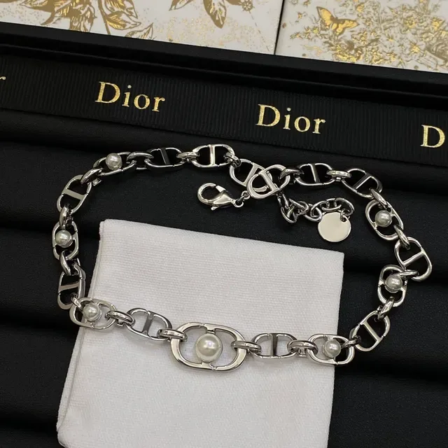 Dior Diorever Gold Silver Chain-Link Necklace 2