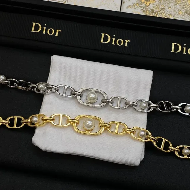 Dior Diorever Gold Silver Chain-Link Necklace 6