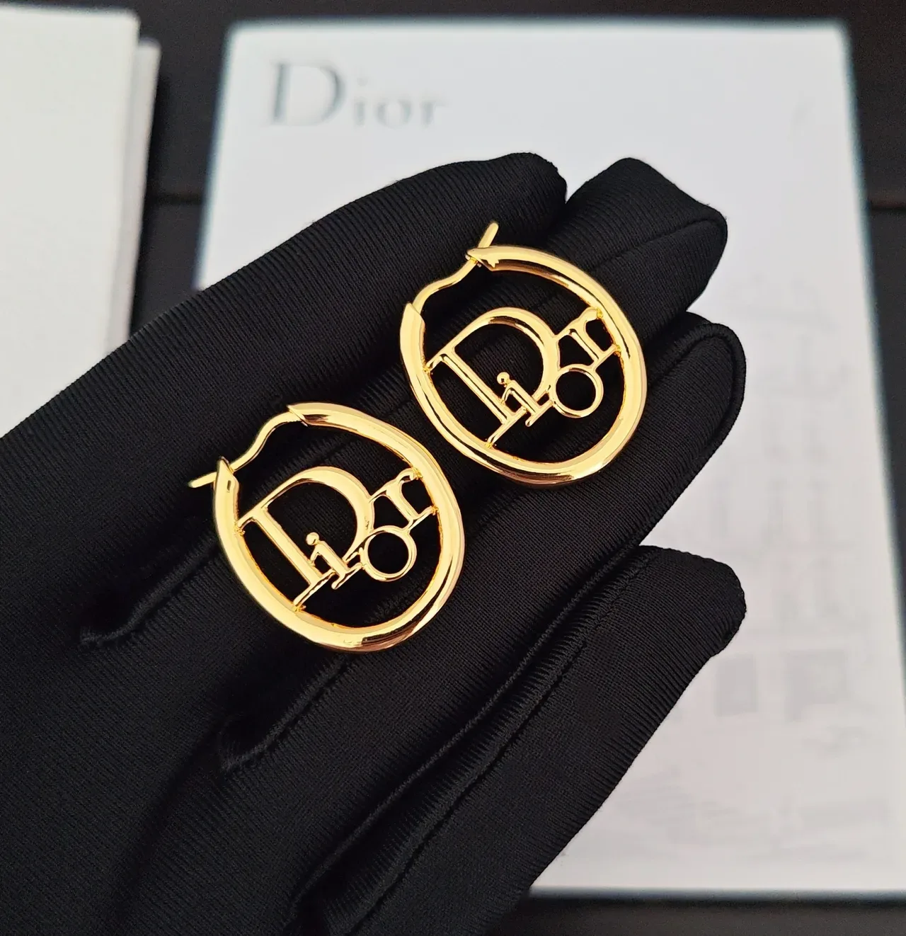 Dior Logo Cutout Hoop Gold Gray Earrings 4