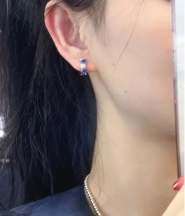 Blue Gemstone and Pavé Crystal Dangling Earrings 3
