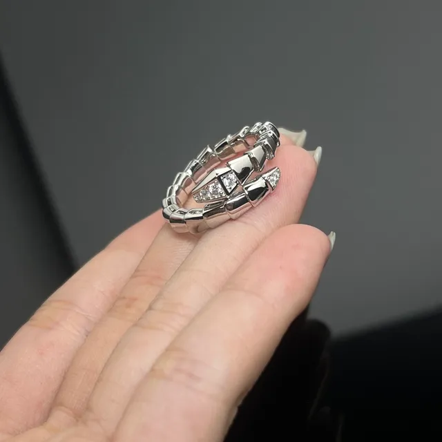 Gold Silver Segmented Articulated Band Pavé-Set Stones Ring 3