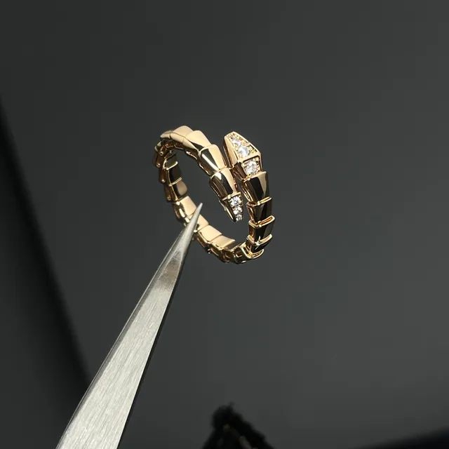 Gold Silver Segmented Articulated Band Pavé-Set Stones Ring 5