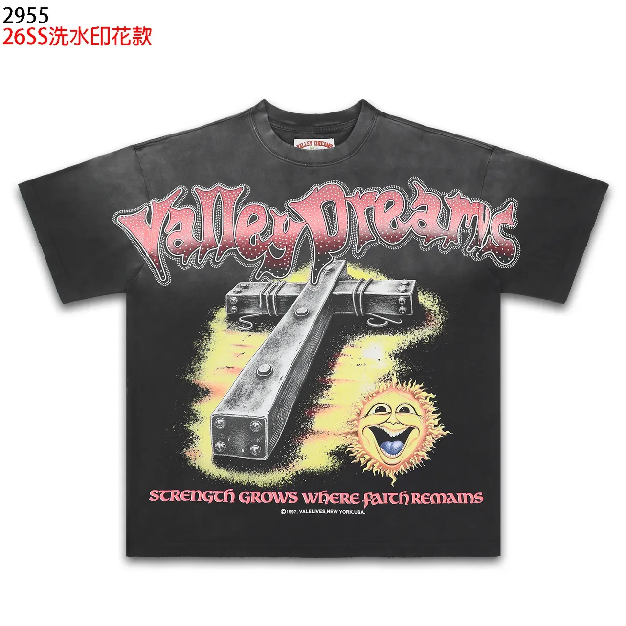 Vale Lives Valley Dreams Graphic Washed-Black T-Shirt 5
