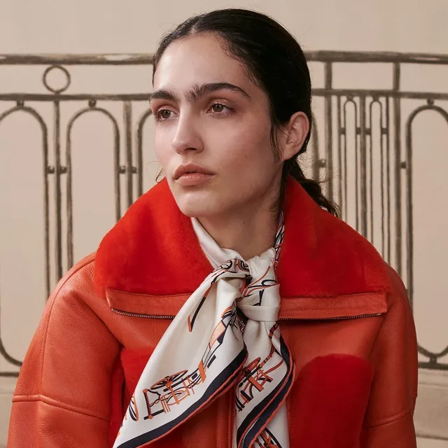 Hermès Aviation Motif Silk Scarf 3