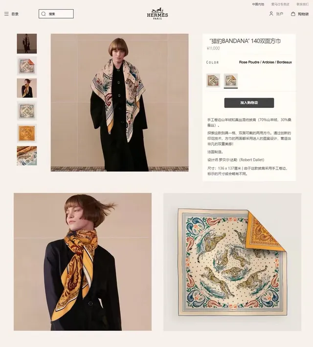 Hermès Multicolor Printed Silk Scarf 3
