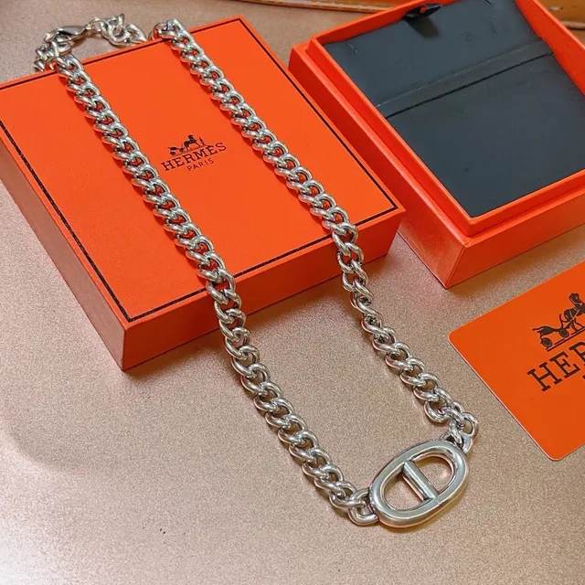Hermès Oran Chunky Curb Chain Silver Necklace 6