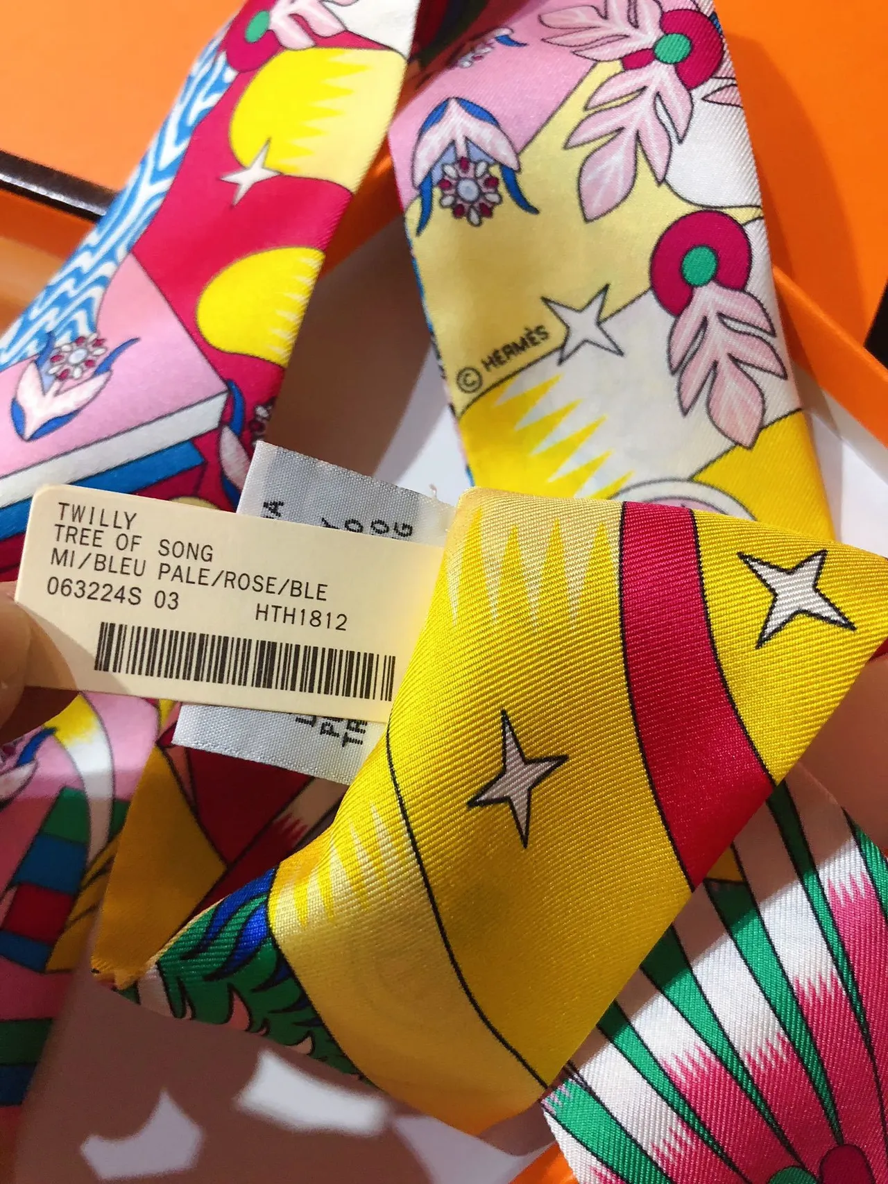 Hermès Twilly 'Source of the Flying Horse' écharpe de soie multicolore 4