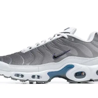 Nike Air Max Plus Gray and Blue Lifestyle Sneakers