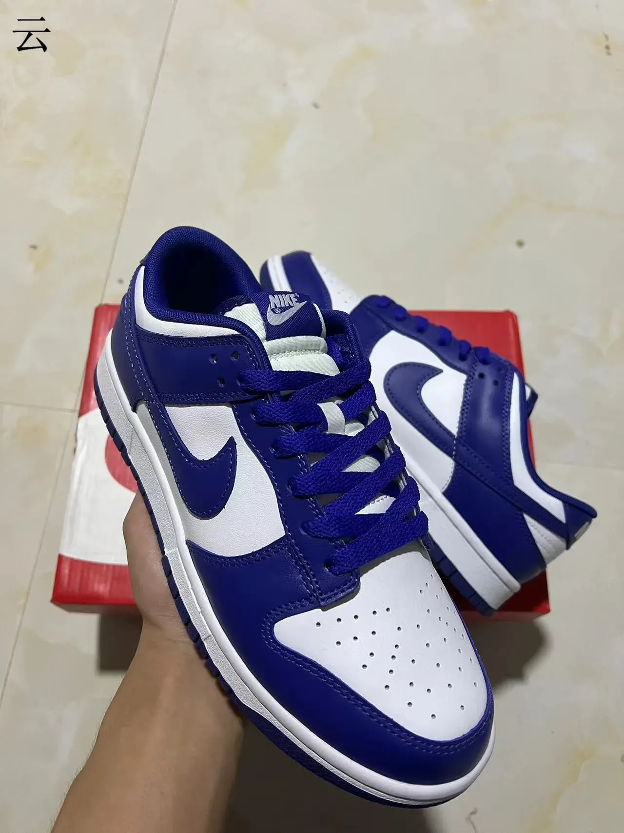 Nike Dunk Low Royal Blue and White Lifestyle Sneakers 2