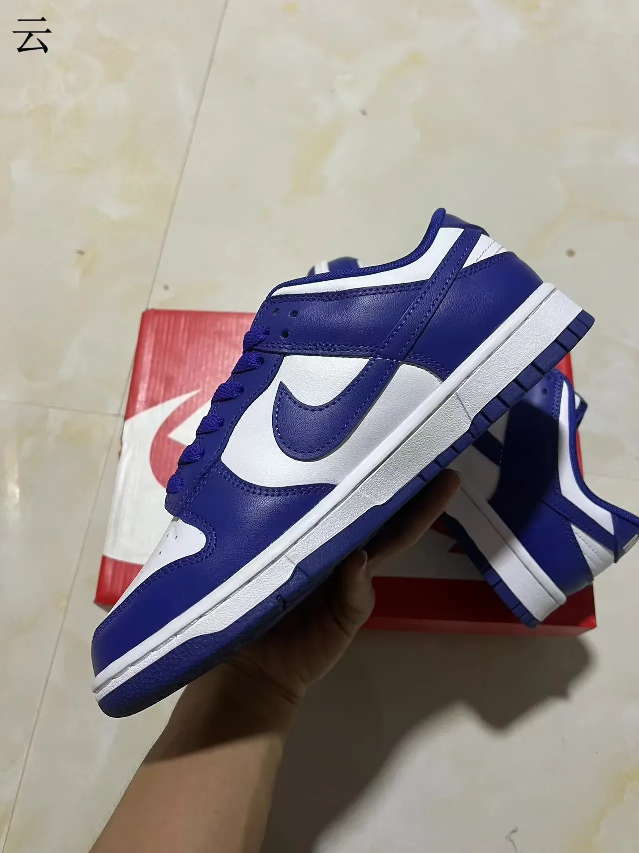Nike Dunk Low Royal Blue and White Lifestyle Sneakers 5