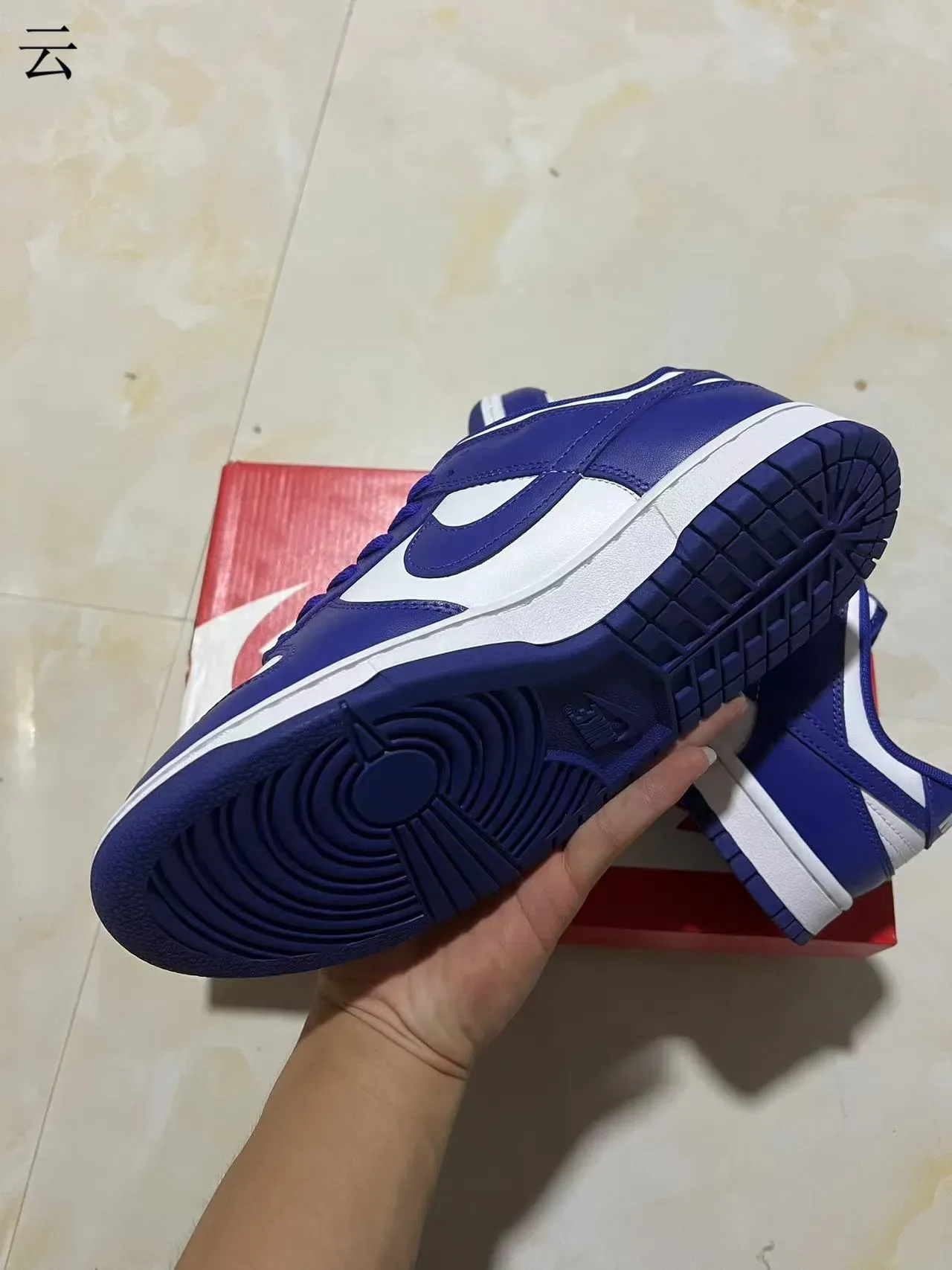 Nike Dunk Low Royal Blue and White Lifestyle Sneakers 6