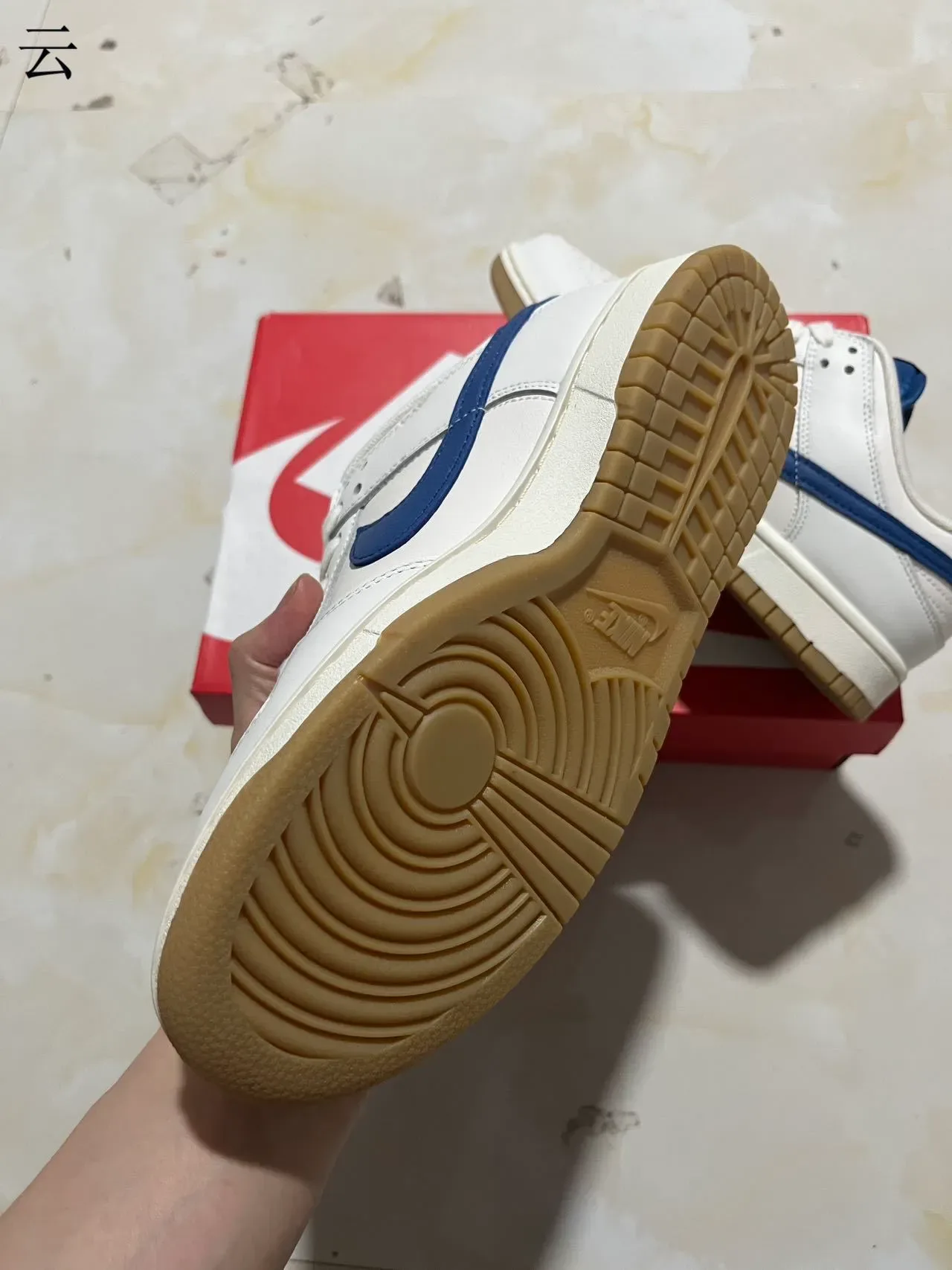 Nike Dunk Low White Royal Blue Gum Lifestyle Sneakers 6