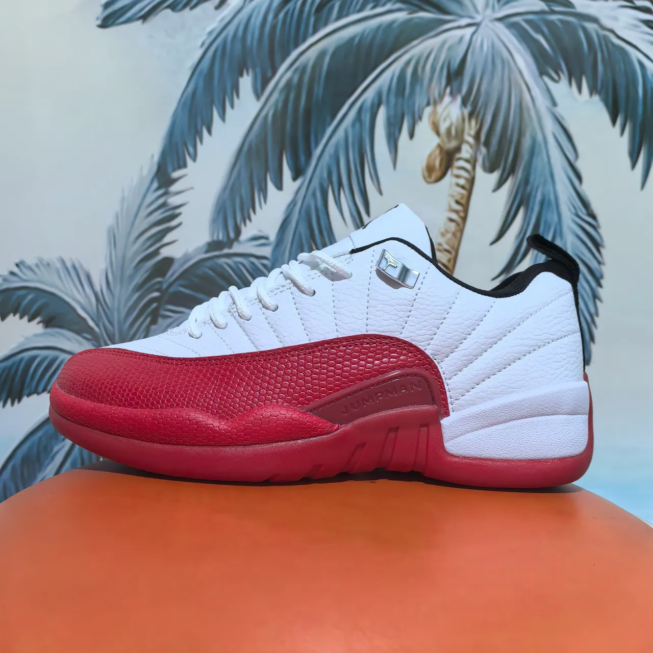 Chaussures de basketball Air Jordan 12 blanc et bleu clair 4