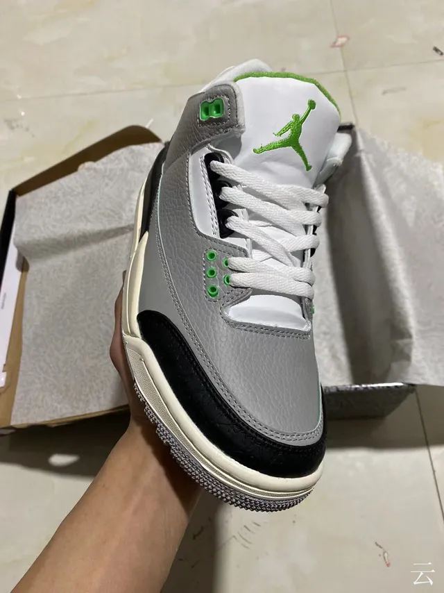 Zapatillas de baloncesto Air Jordan 3 en gris, negro y verde con estampado de elefante 2