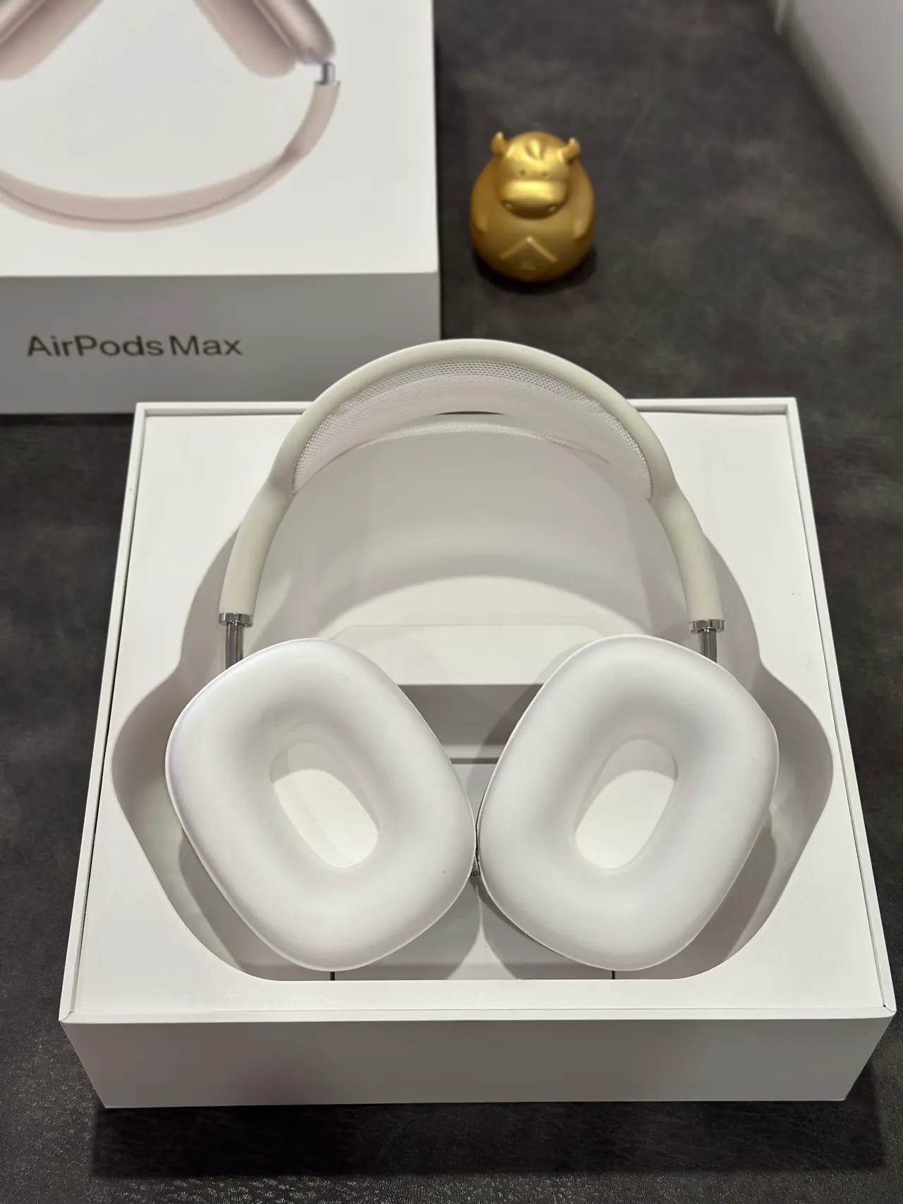 Apple AirPods Max Off-White Over-Ear Headphones 14