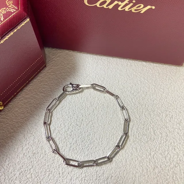 Cartier ذهب وفضة سلسلة روابط مستطيلة معدن مصقول سوار 4