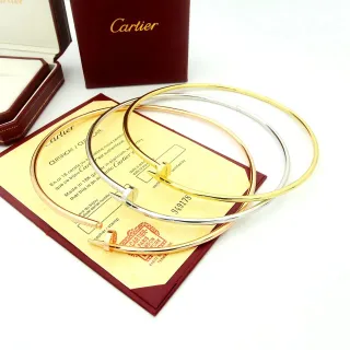 Cartier Juste un Clou pulsera fina circular de oro y plata con cierre de cabeza de tornillo