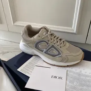 Dior B27 Beige and Gray Logo Panel Lifestyle Sneakers