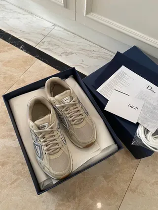 Dior B27 Beige and Gray Logo Panel Lifestyle Sneakers 5