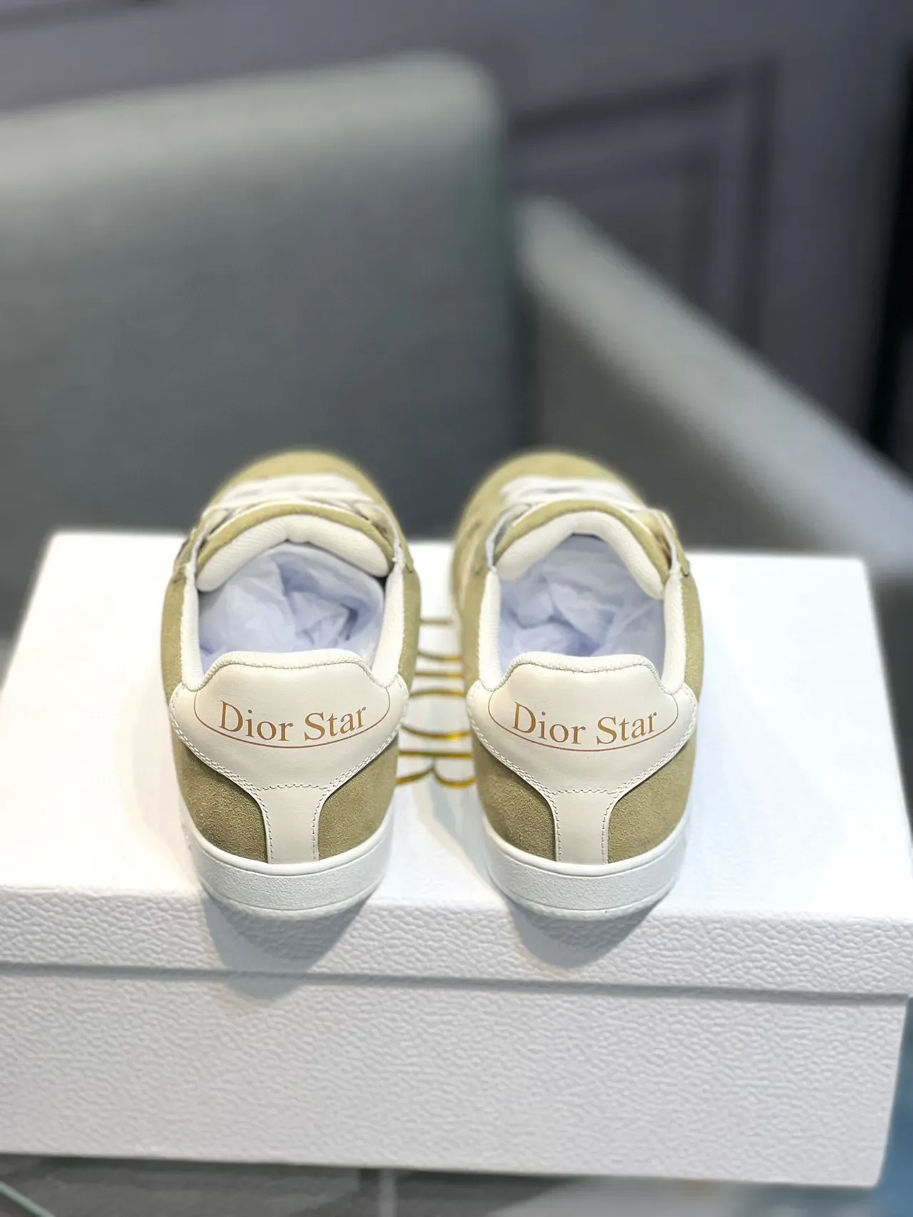 Dior Verde Branco Camurça Superior Detalhe Motivo Estrela Lifestyle Sneakers 7