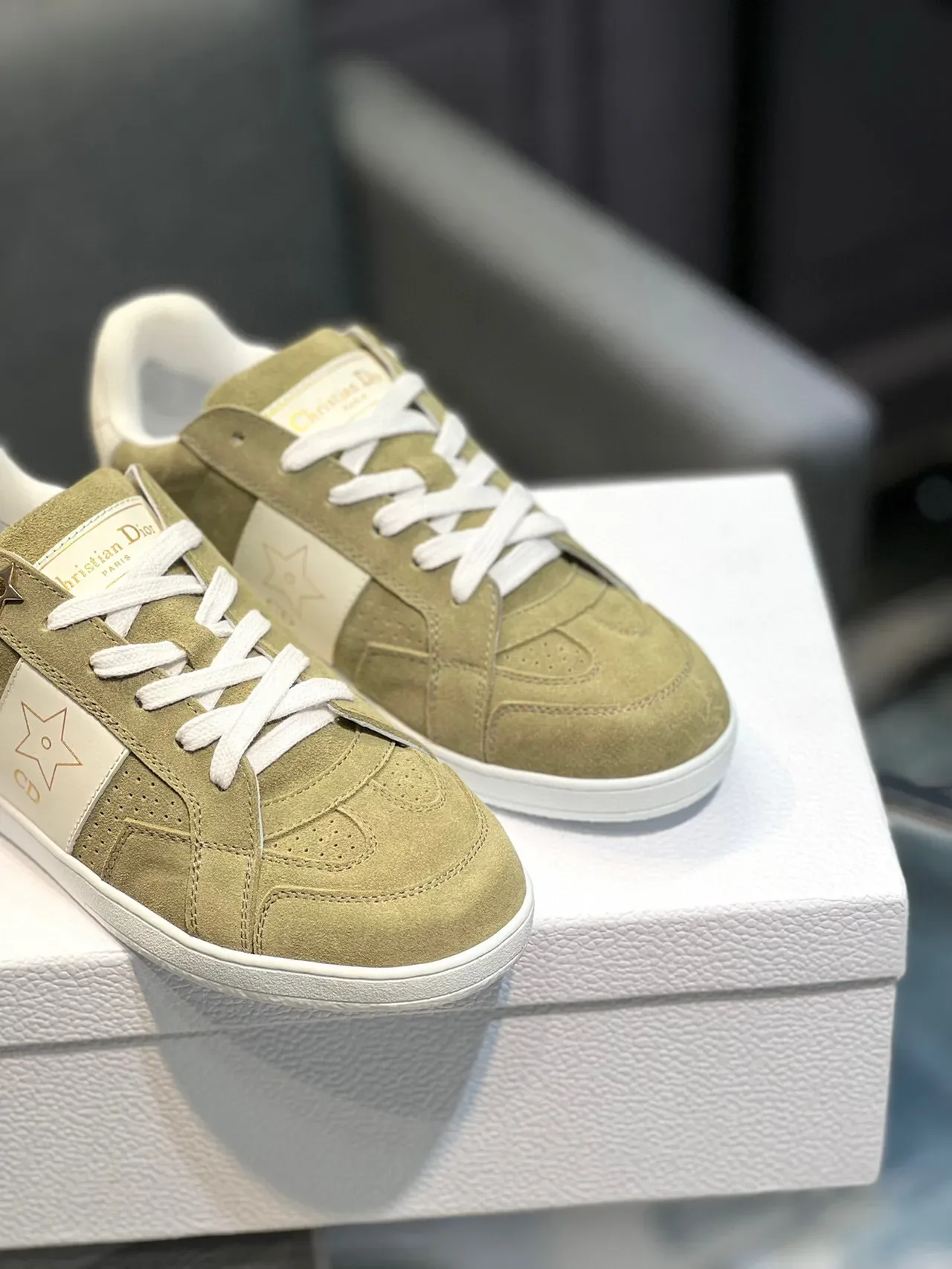 Dior Verde Branco Camurça Superior Detalhe Motivo Estrela Lifestyle Sneakers 8