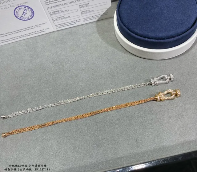 Dual-Tone Pavé Horseshoe Clasp Chain Bracelets 2