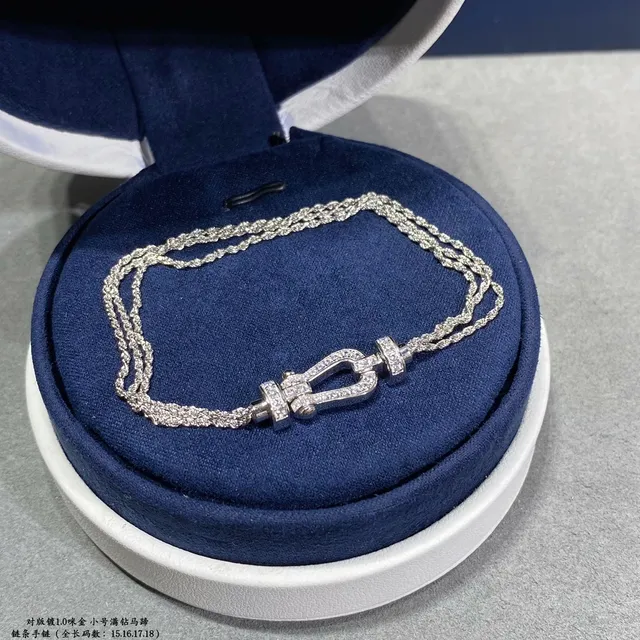 Dual-Tone Pavé Horseshoe Clasp Chain Bracelets 8