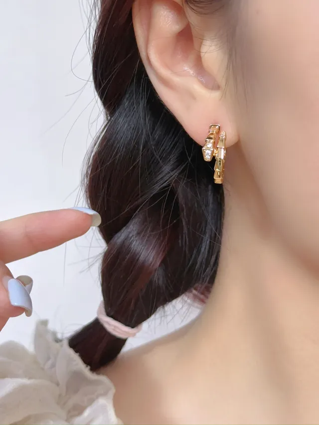 Gold and Silver Tone Segmented Pavé Hoop Earrings 5