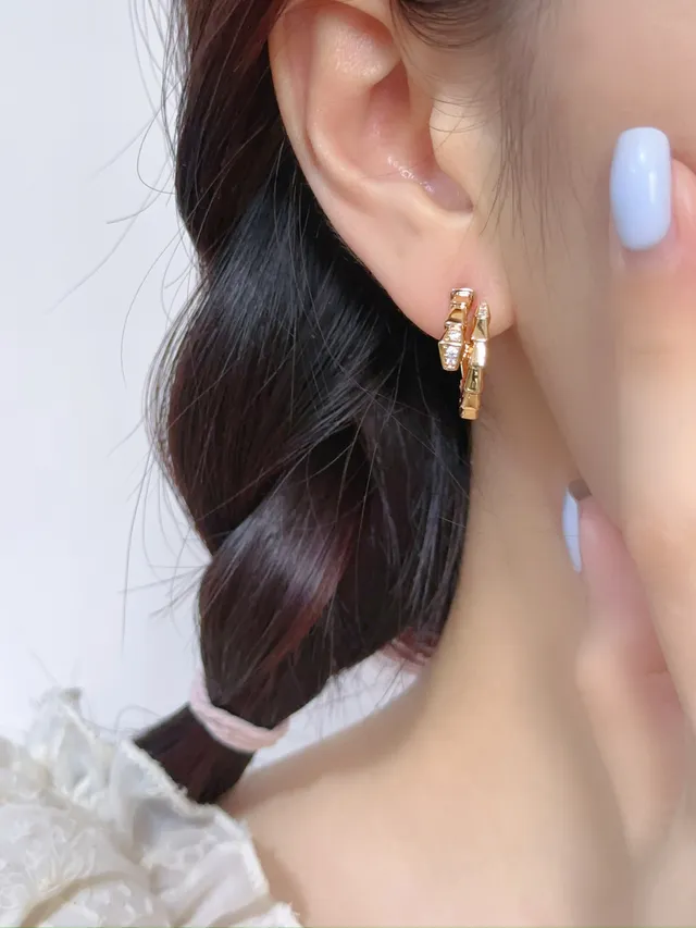 Gold and Silver Tone Segmented Pavé Hoop Earrings 6