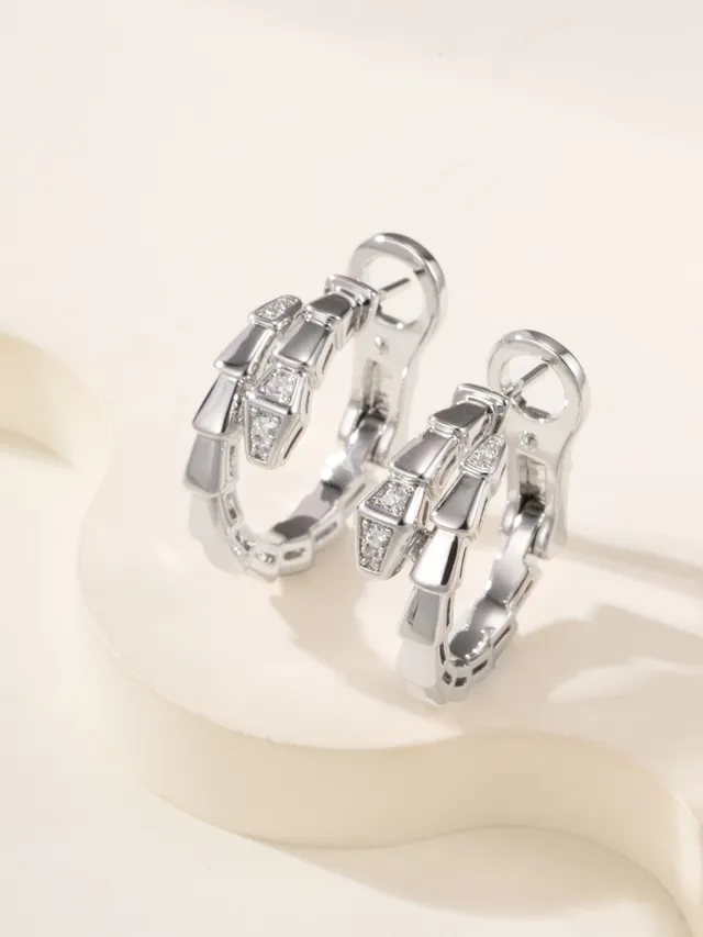 Gold and Silver Tone Segmented Pavé Hoop Earrings 15