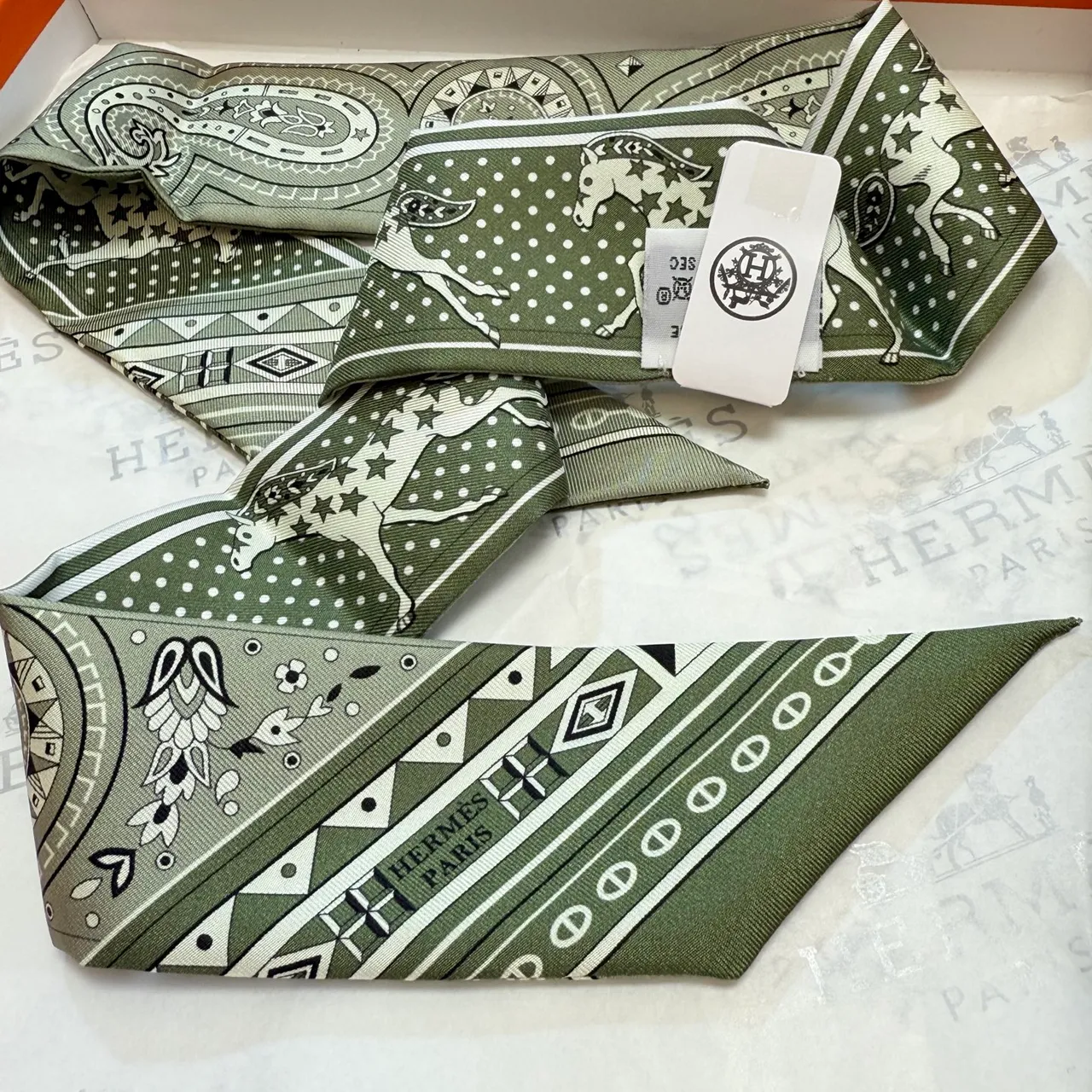 Hermès Twilly Verde e Branco Estreito Alongado Silhueta Impresso Paisley e Motivos Ecuestres Lenço de Seda 3